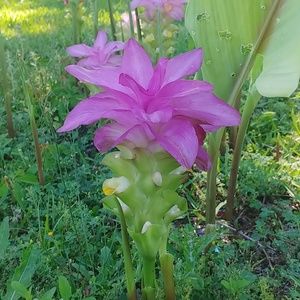 Meet your Posher, Vivian